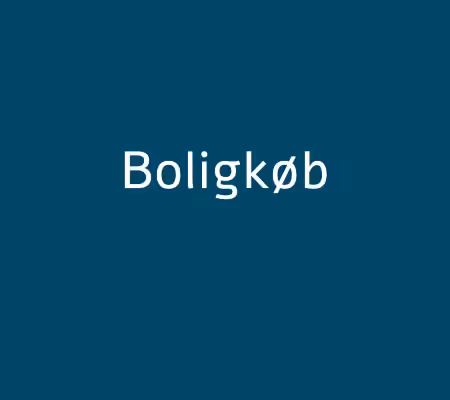boligkøb guide