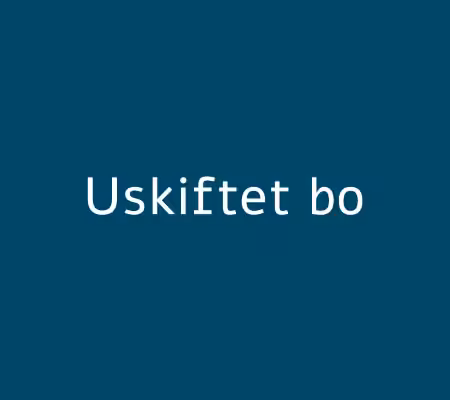uskiftet bo