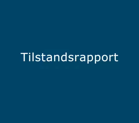 tilstandsrapport bolig