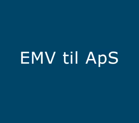 skift fra enkeltmandsvirksomhed til aps