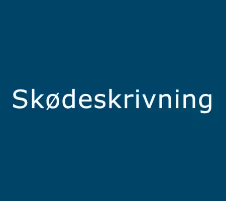 skødeskrivning