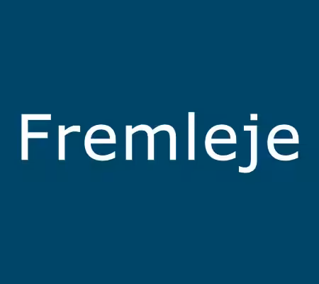 regler for fremleje af lejlighed