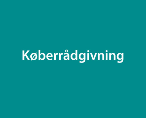 Køberrådgivning pris